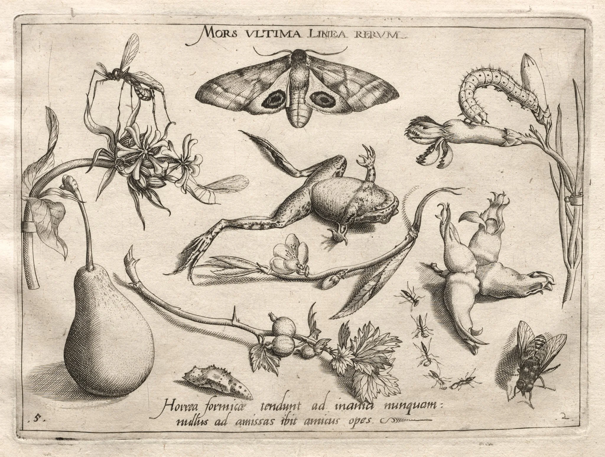 Archetypes and Studies: Death is the line that marks the end of all (Part II, plate 5), detail