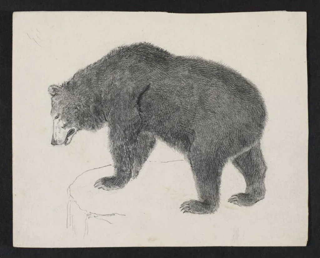 Untitled, by Bertram Potter, 1