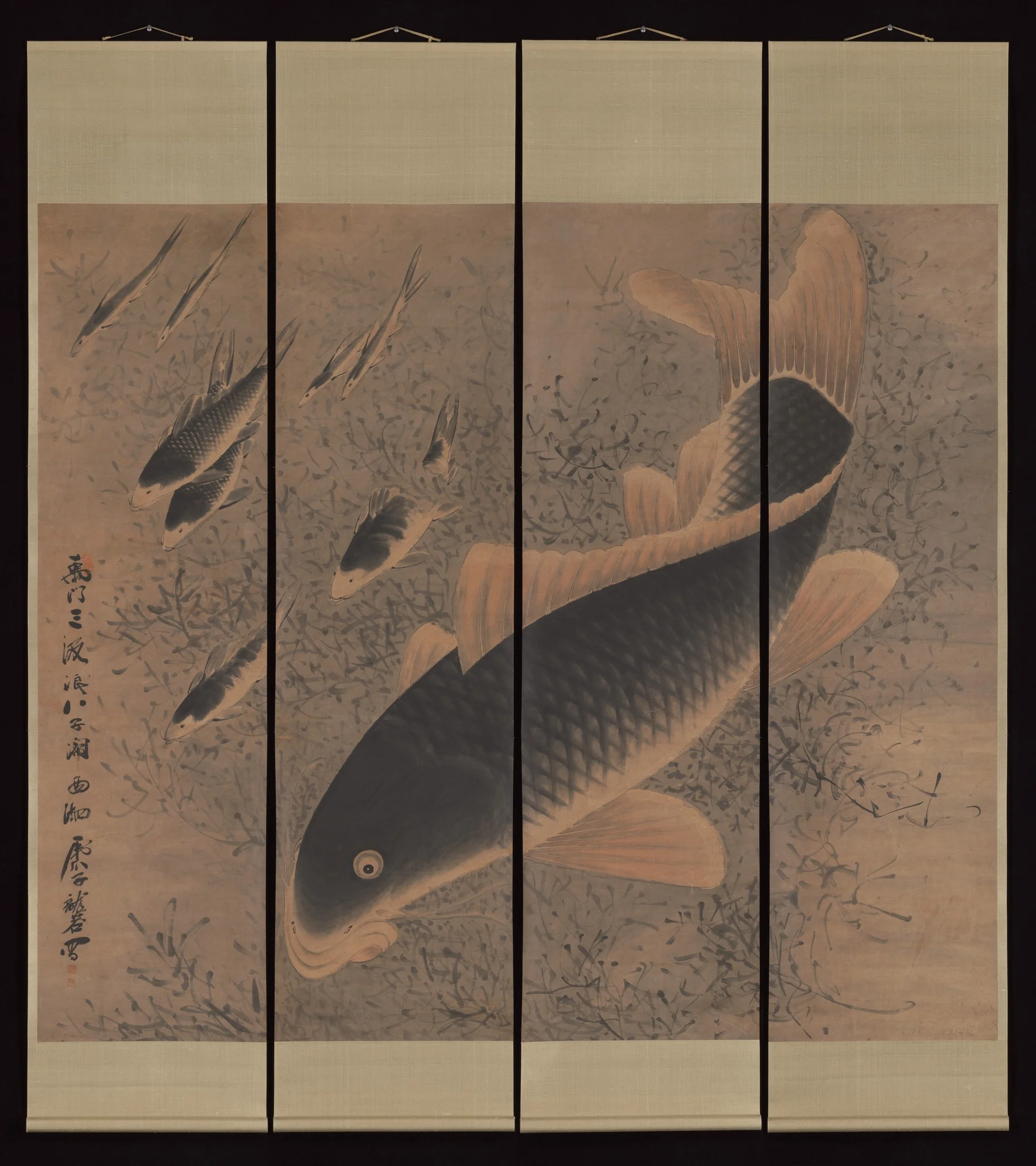 Carp, detail