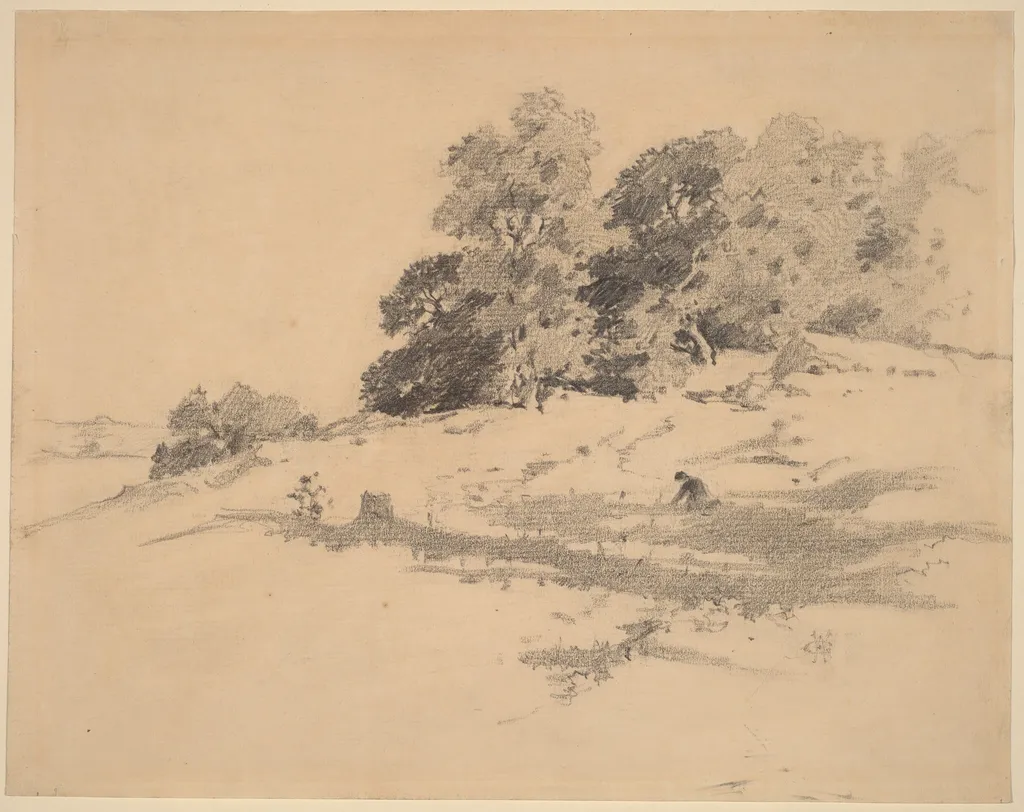 Landscape near Washington, Connecticut, by William Hamilton Gibson, graphite, 1873