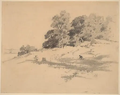 Landscape near Washington, Connecticut, by William Hamilton Gibson, graphite, 1873