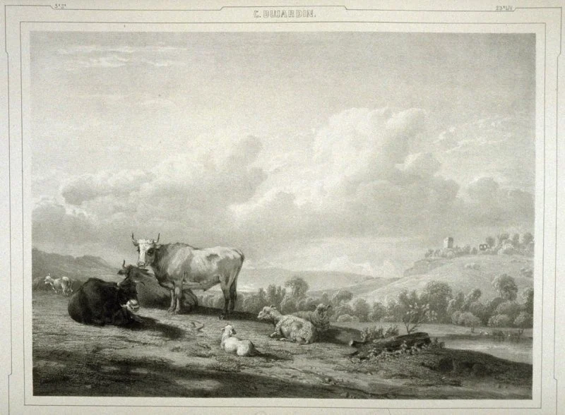 Farm animals at pasture, detail