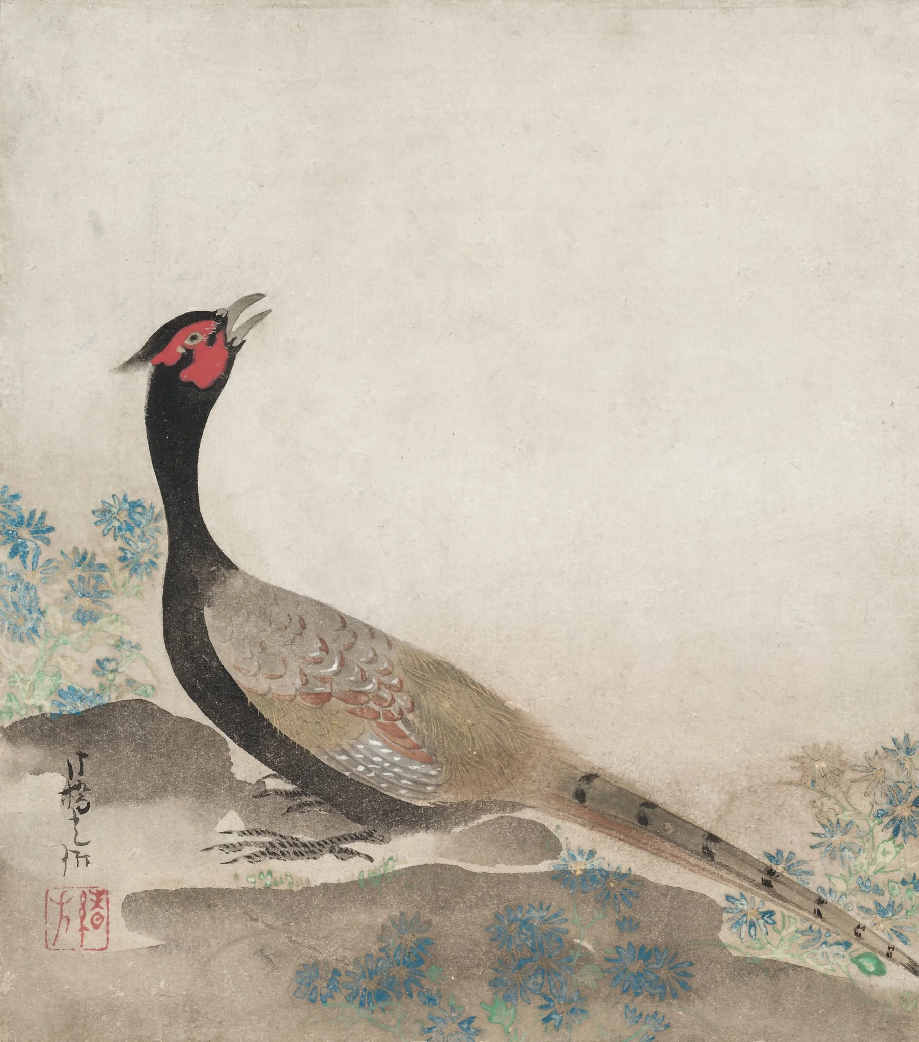 Pheasant, detail