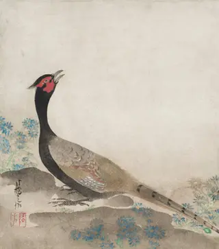 Pheasant, by Ogata Kōrin, unspecified, 1687