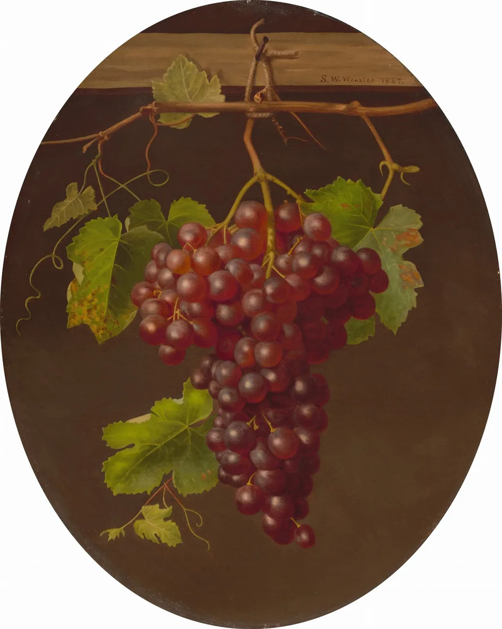 Hanging Bunch of Grapes, by Sarah Wilhelmina Wenzler, oil, 1867