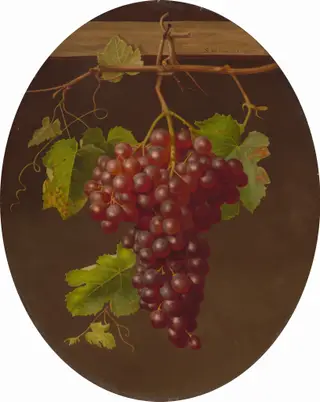 Hanging Bunch of Grapes, by Sarah Wilhelmina Wenzler, oil, 1867