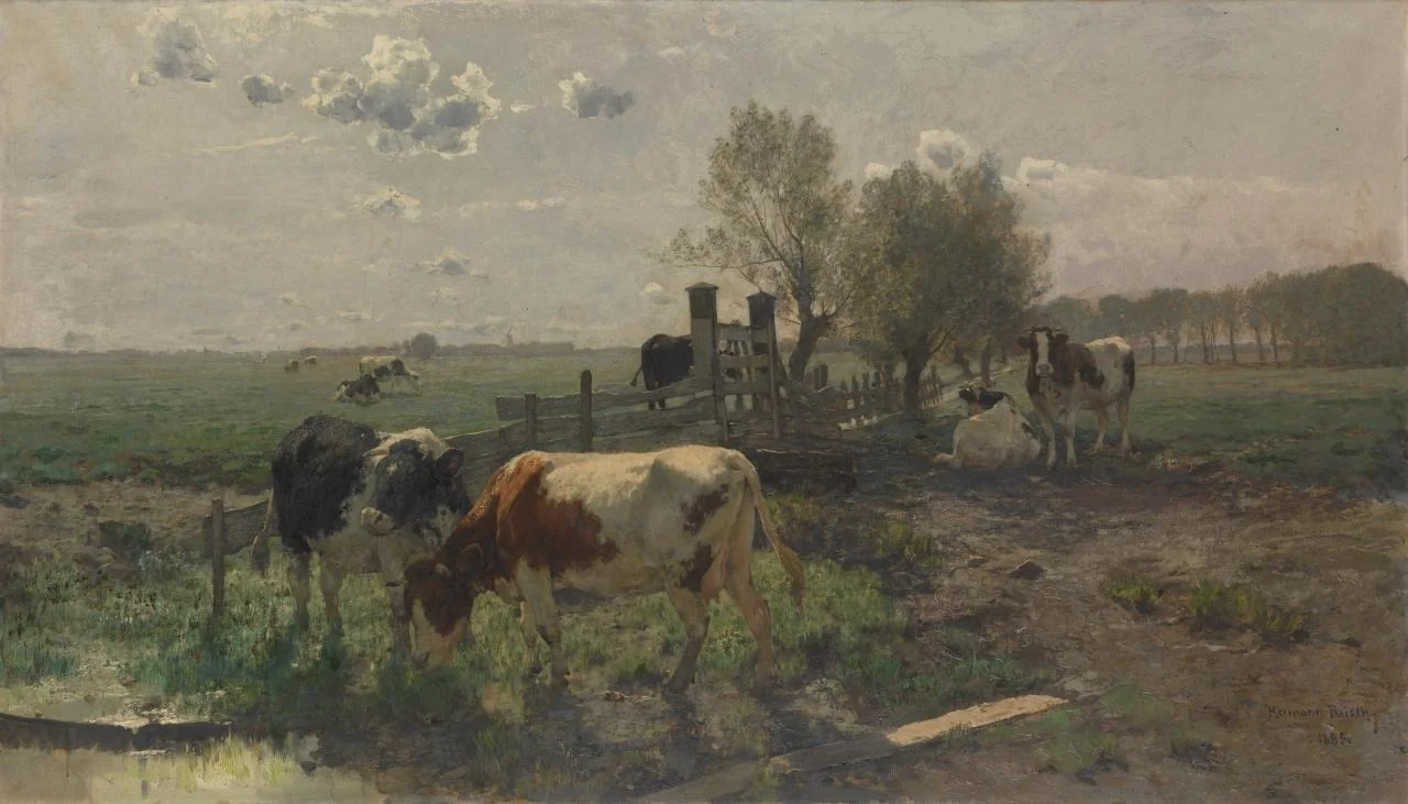 Dutch pastures, morning, detail