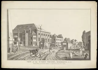 H Beard Print Collection, by Eastgate, 2