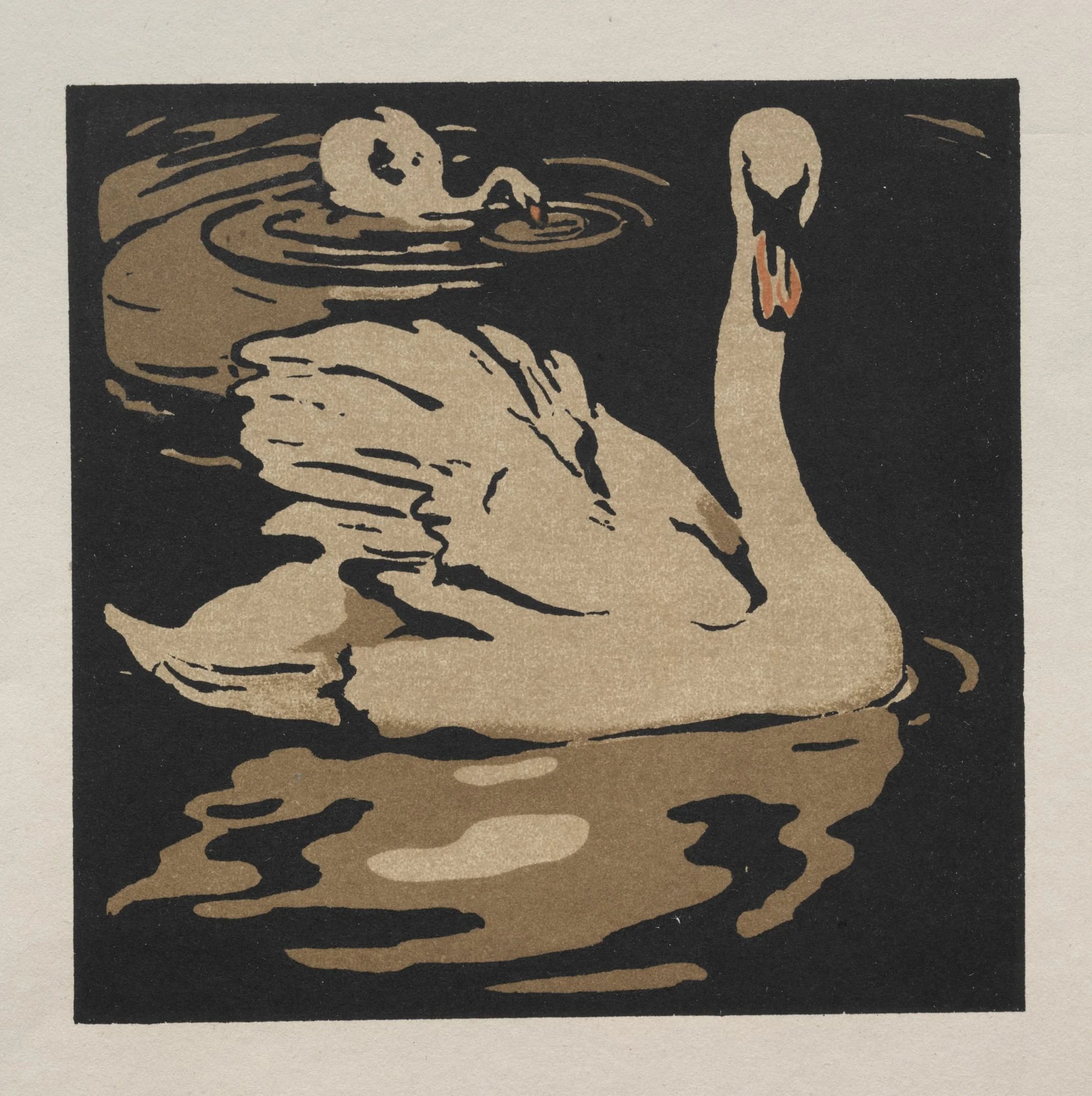 The Square Book of Animals: The Beautiful Swan, detail