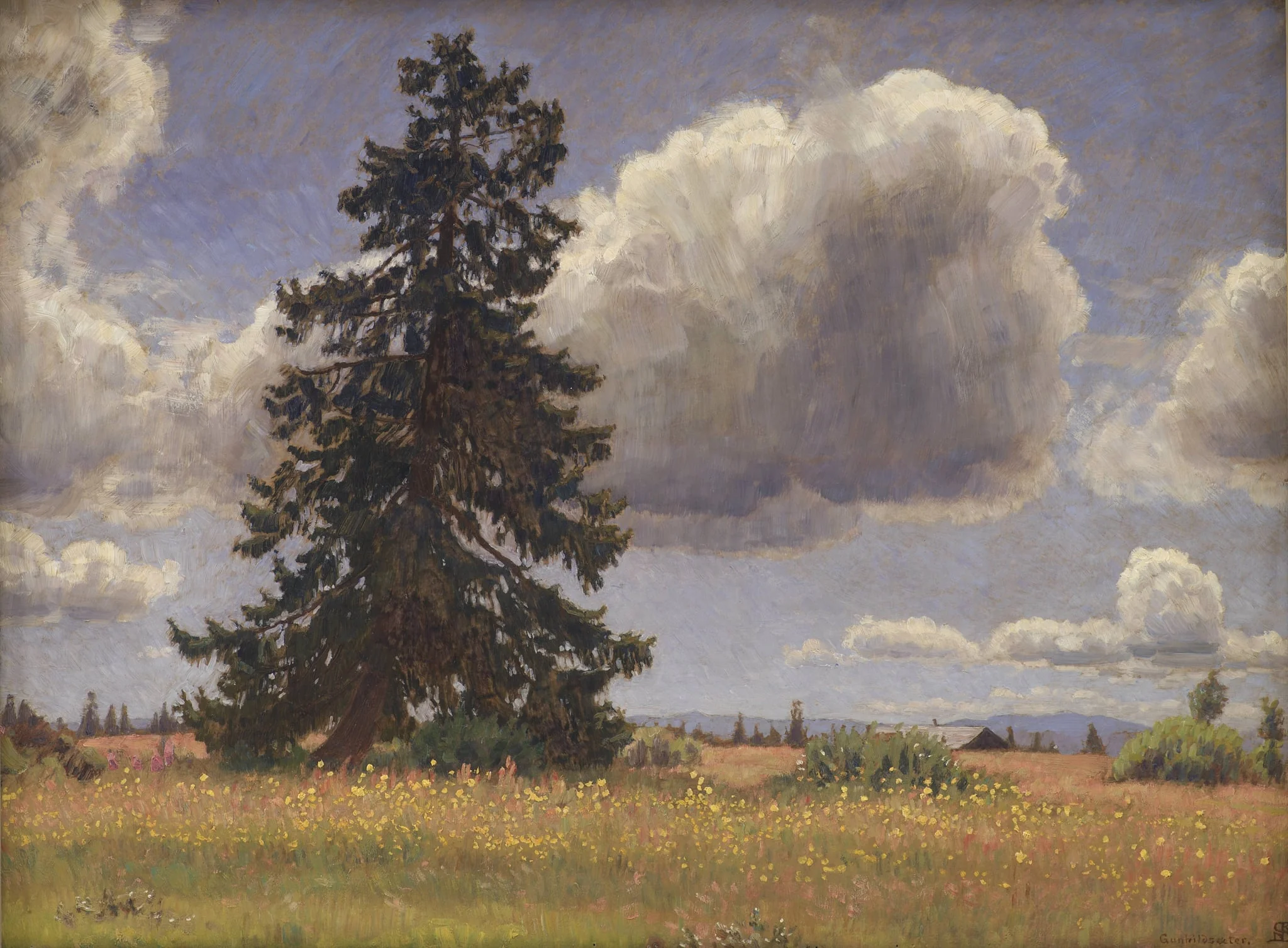 Spruce Tree in a Summer Pasture. Norway, detail