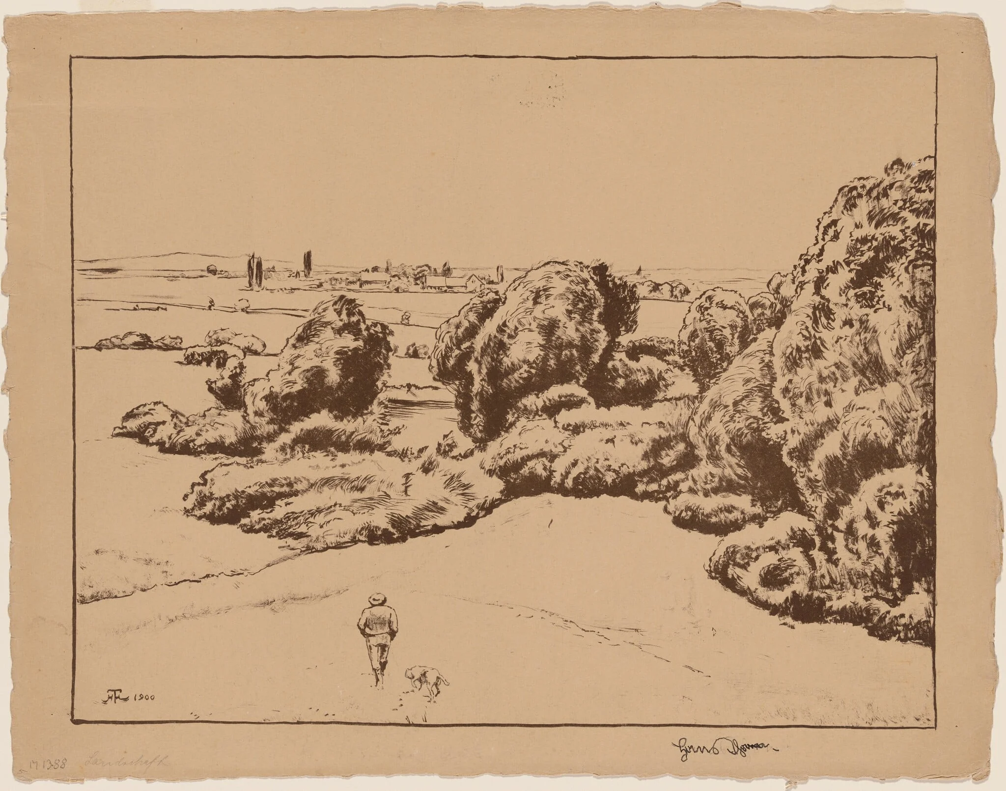 Landscape, detail