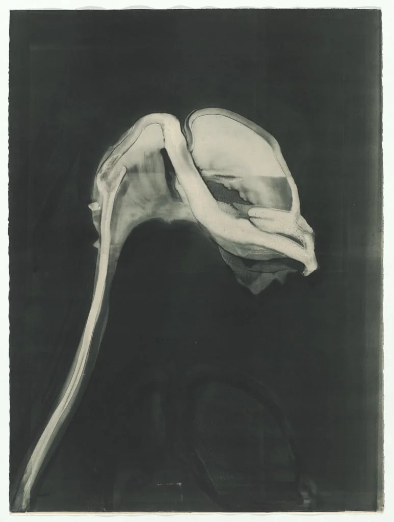 Untitled, detail