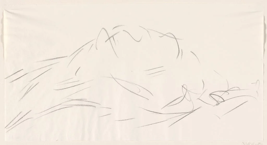 Untitled, detail