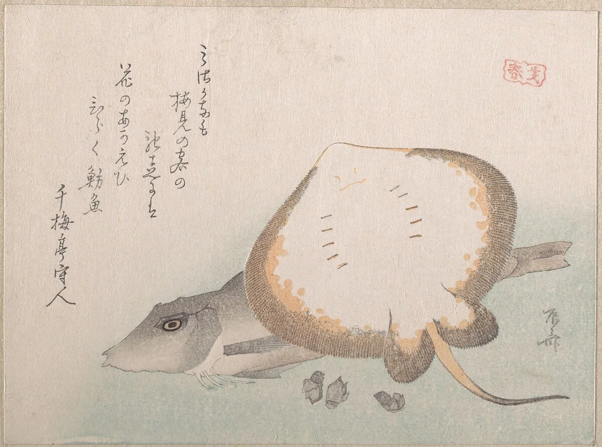 Untitled, detail
