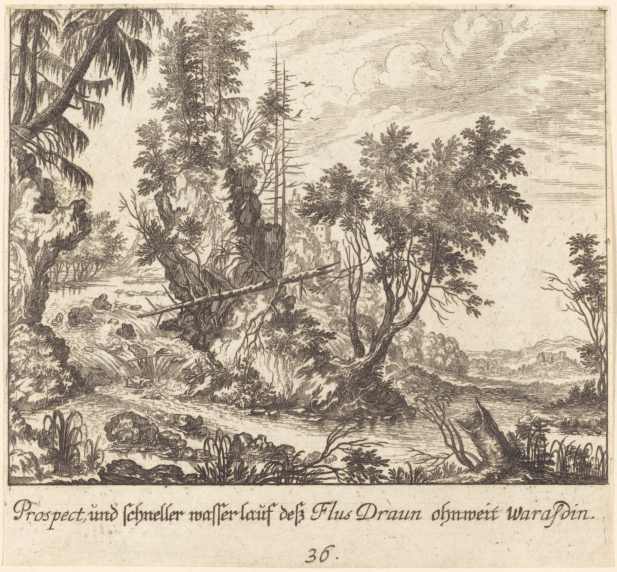 Draun River, detail