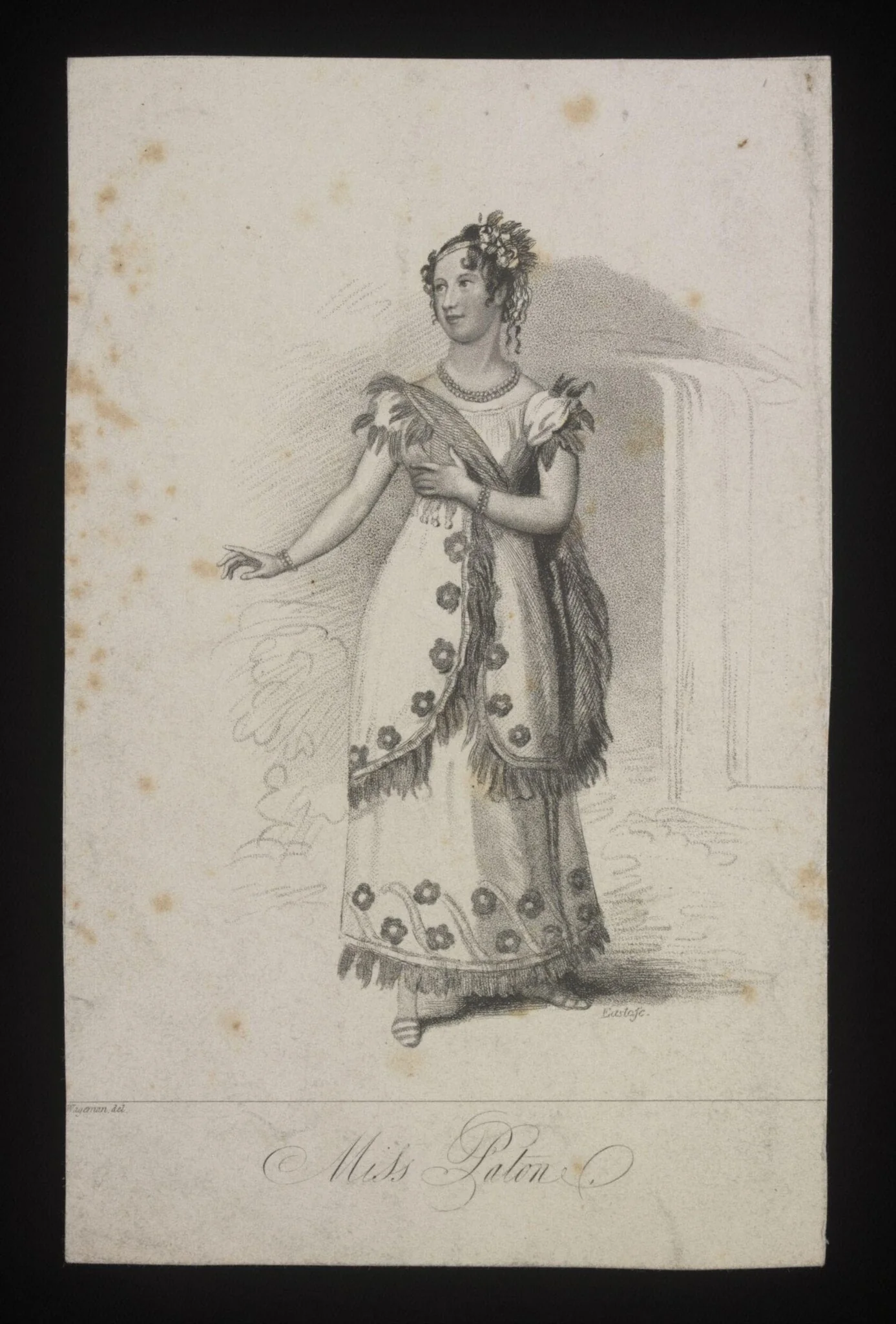 'Miss Paton', detail