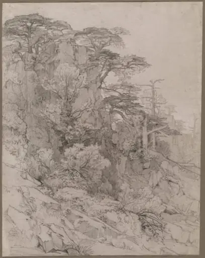 Trees of a Rocky Hillside, by Gustave Achille Guillaumet, 1804