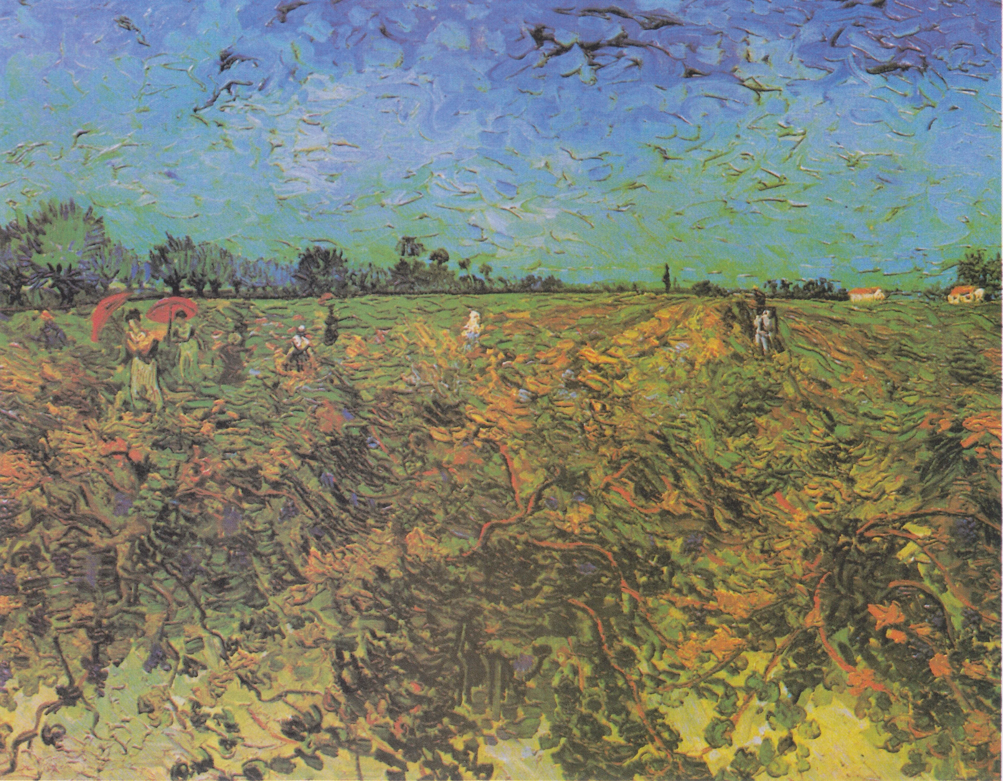 The green vineyard, detail