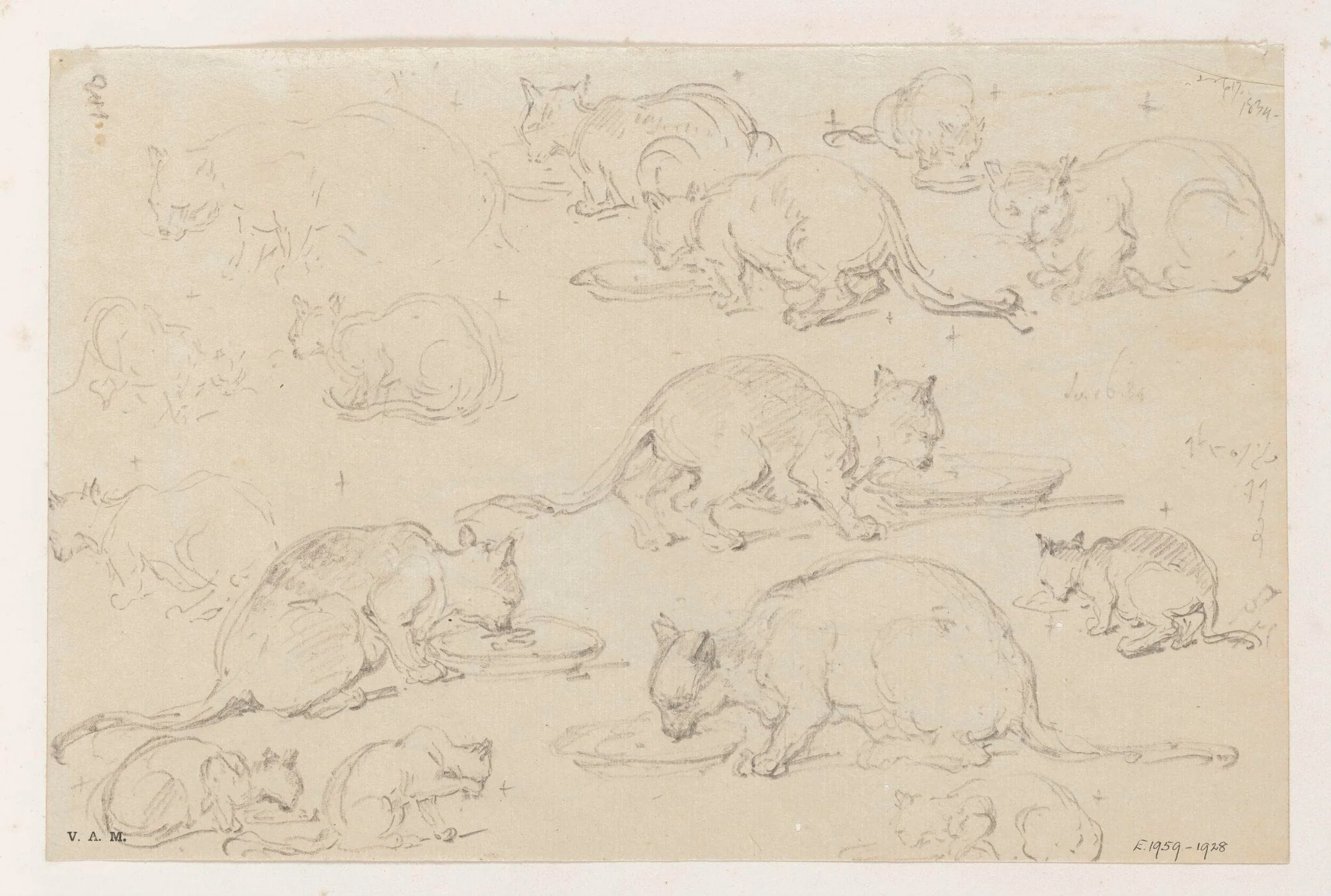 Fifteen drawings of cats, detail