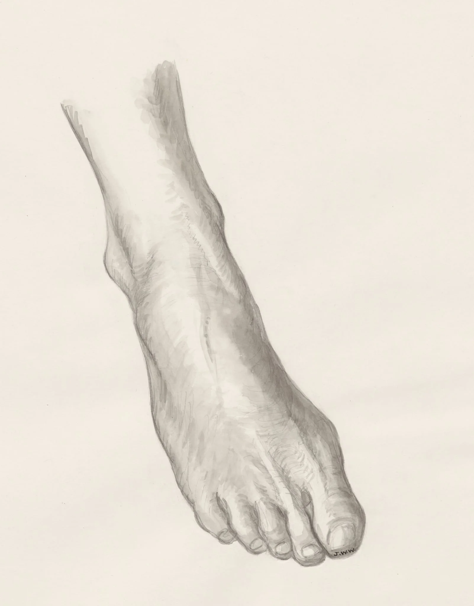 Right foot, detail