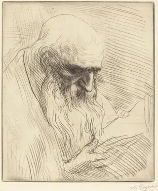 Study of the Head of a Man Reading (Etude de tete d'homme lisant), by Alphonse Legros, ink, 1874