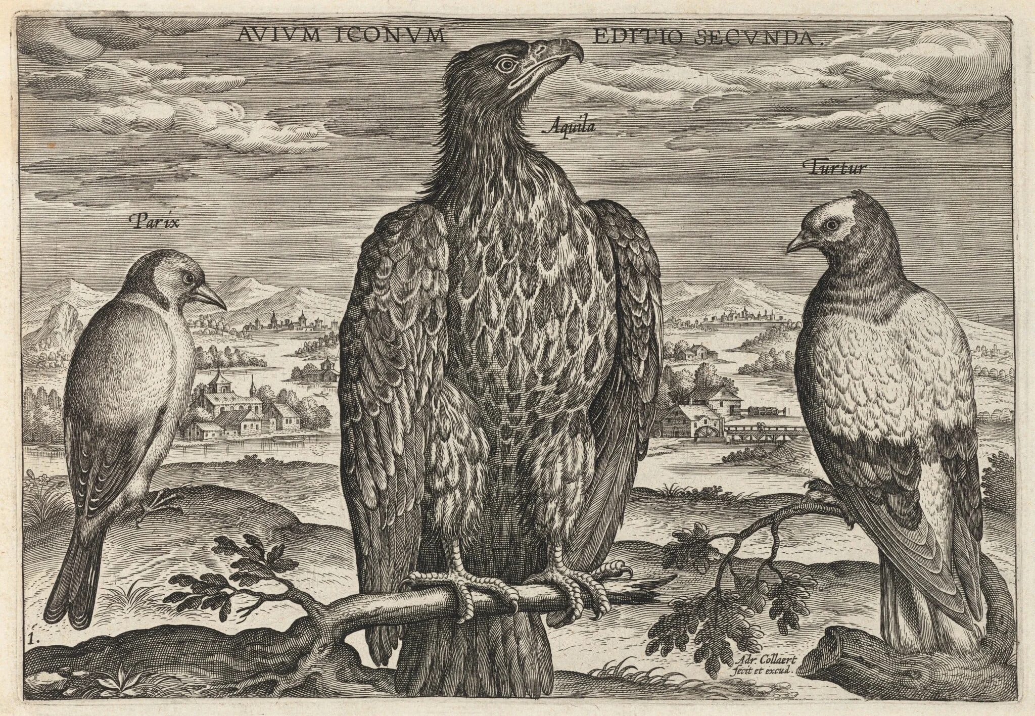 Wagtail, Eagle, and Turtledove, detail