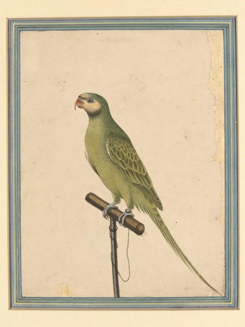 A parrot, by Hulas Lal, paint, 1870