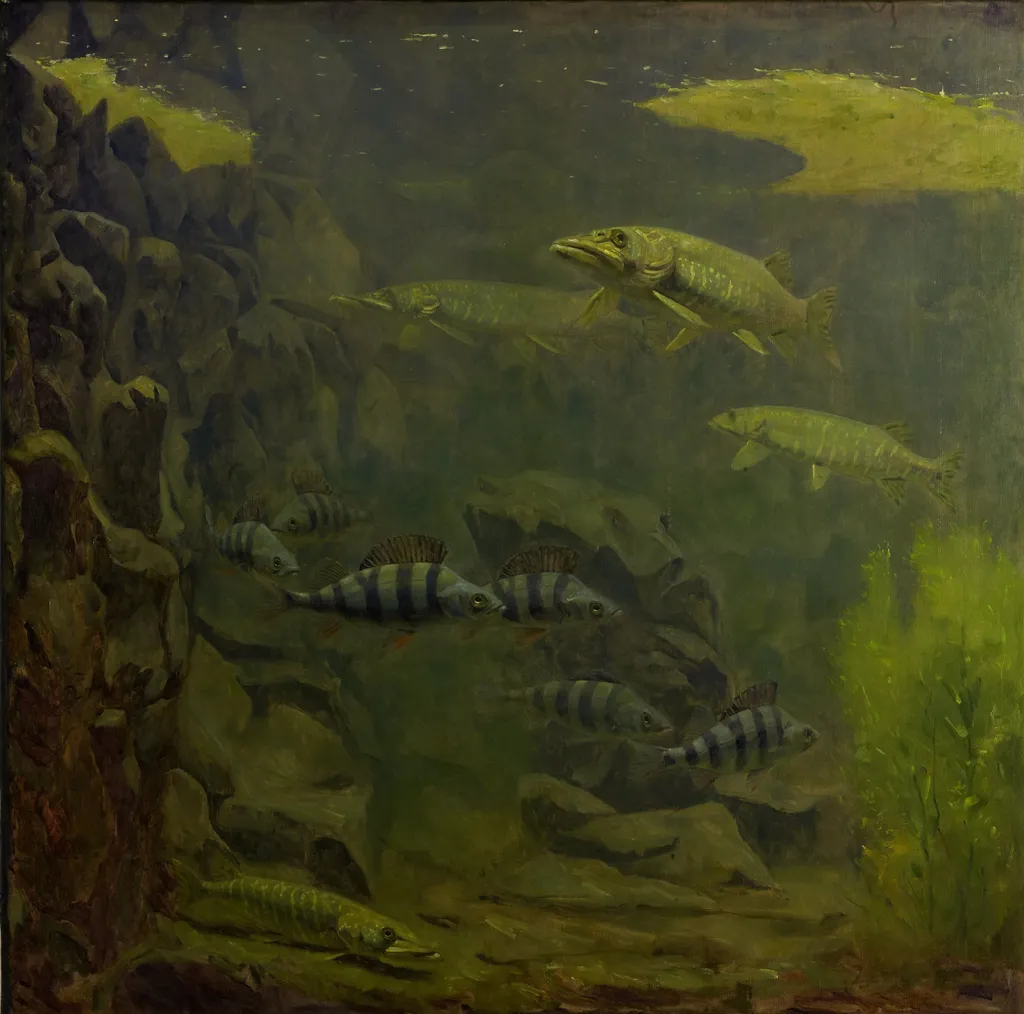 Pike and Perch in an Aquaruim, by Gerrit Willem Dijsselhof, oil, 1915