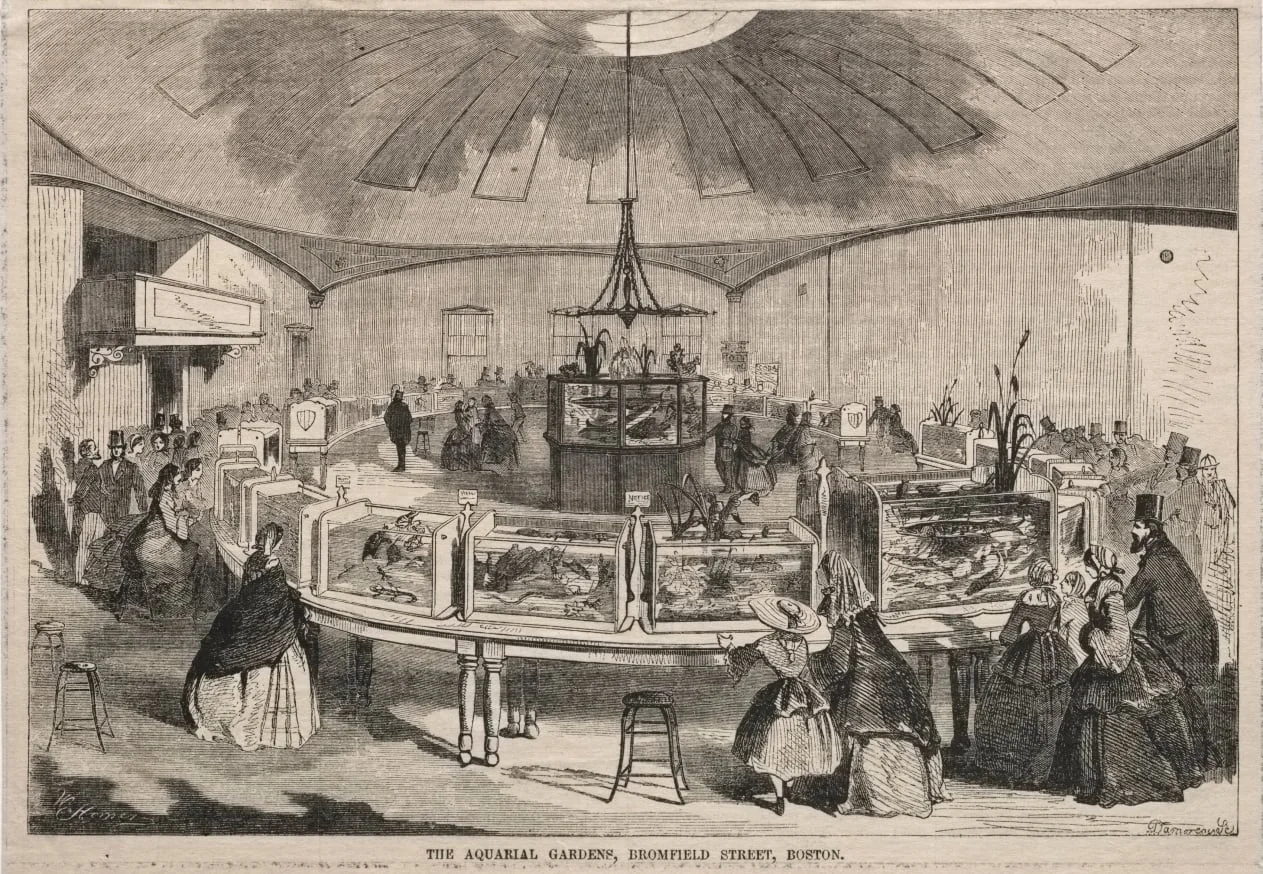 The Aquarial Gardens, Bromfield Street, Boston, detail