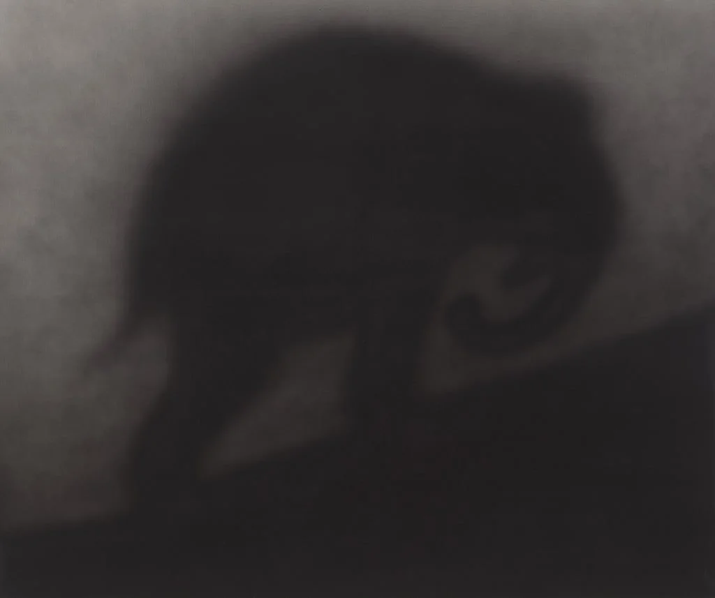 Untitled, detail