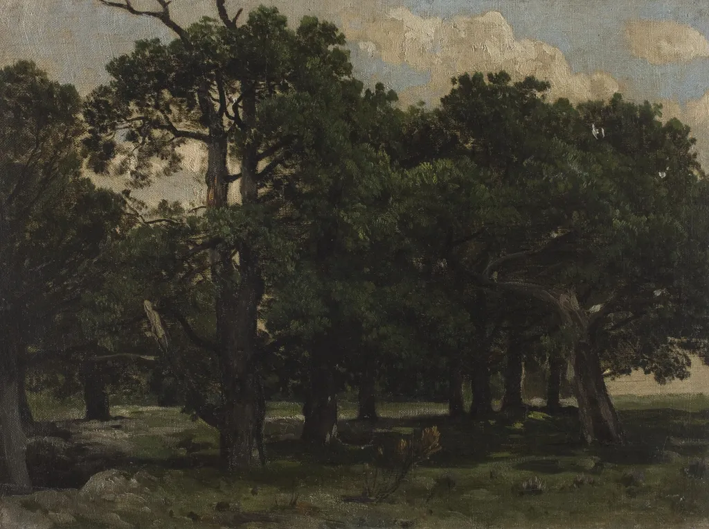 Pines, by Józef Szermentowski, oil, 1864