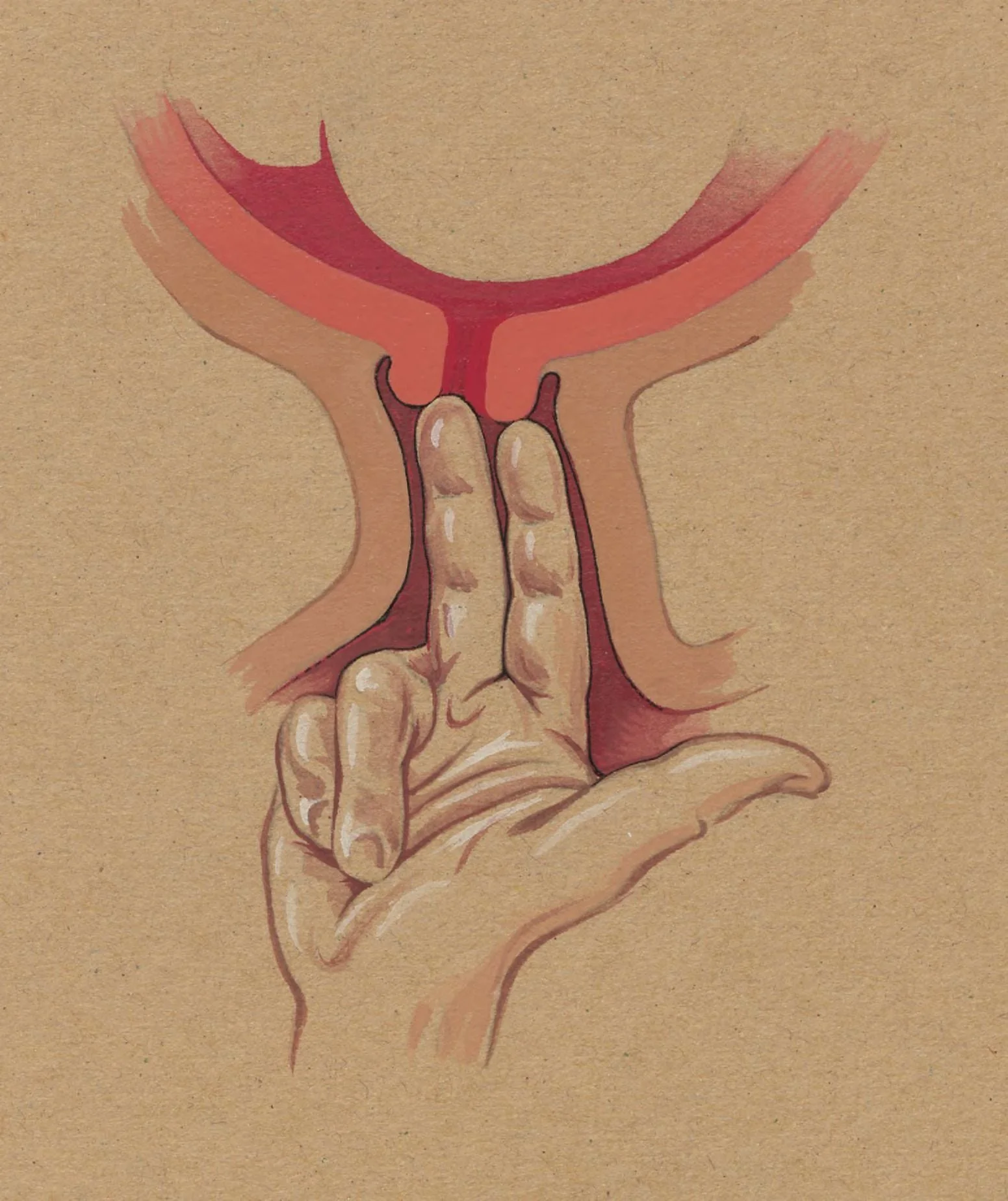 gynaecological procedure, two fingers penetrating the cervix, detail