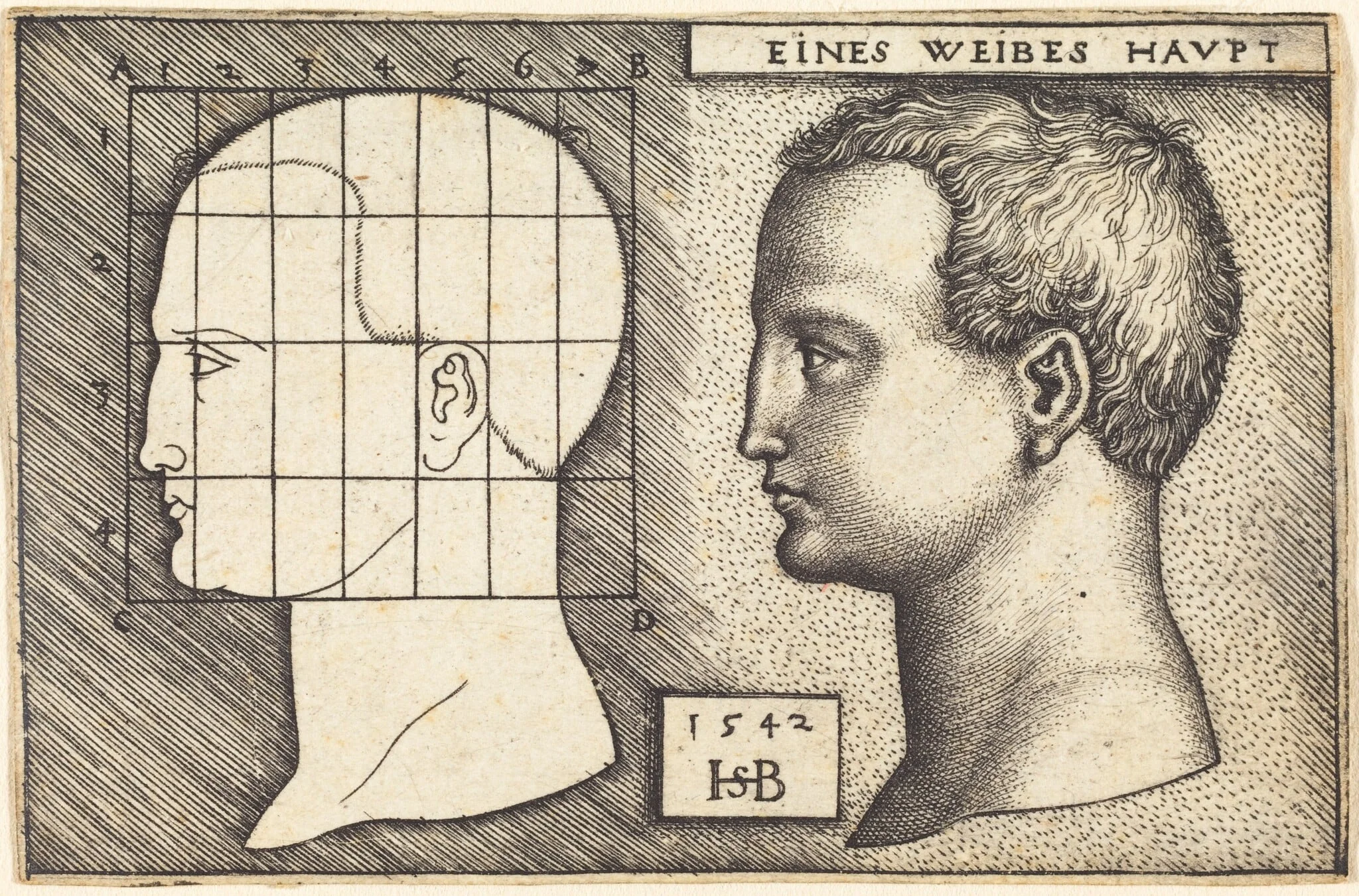 Two Profile Studies of a Woman's Head, detail