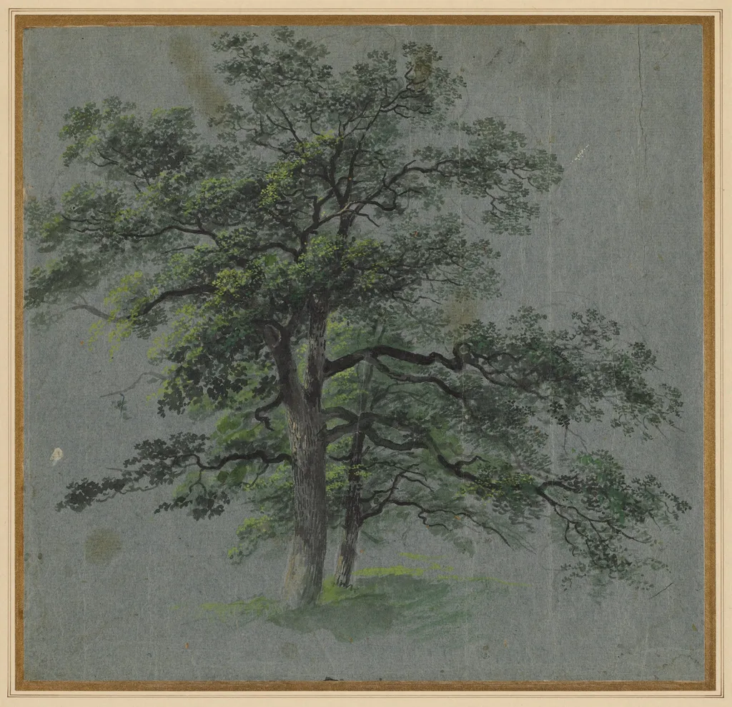 Two Trees (recto), by Johann Jacob Dorner, 1814