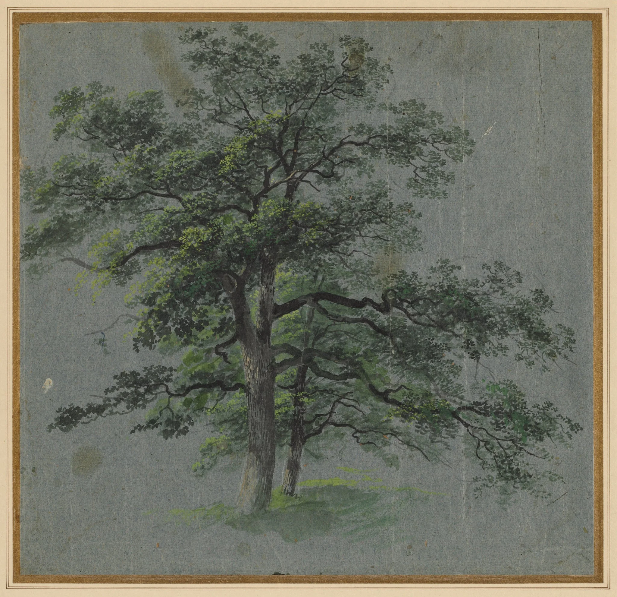 Two Trees (recto), detail
