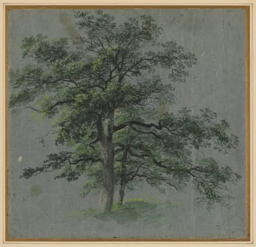 Two Trees (recto), by Johann Jacob Dorner, 1814