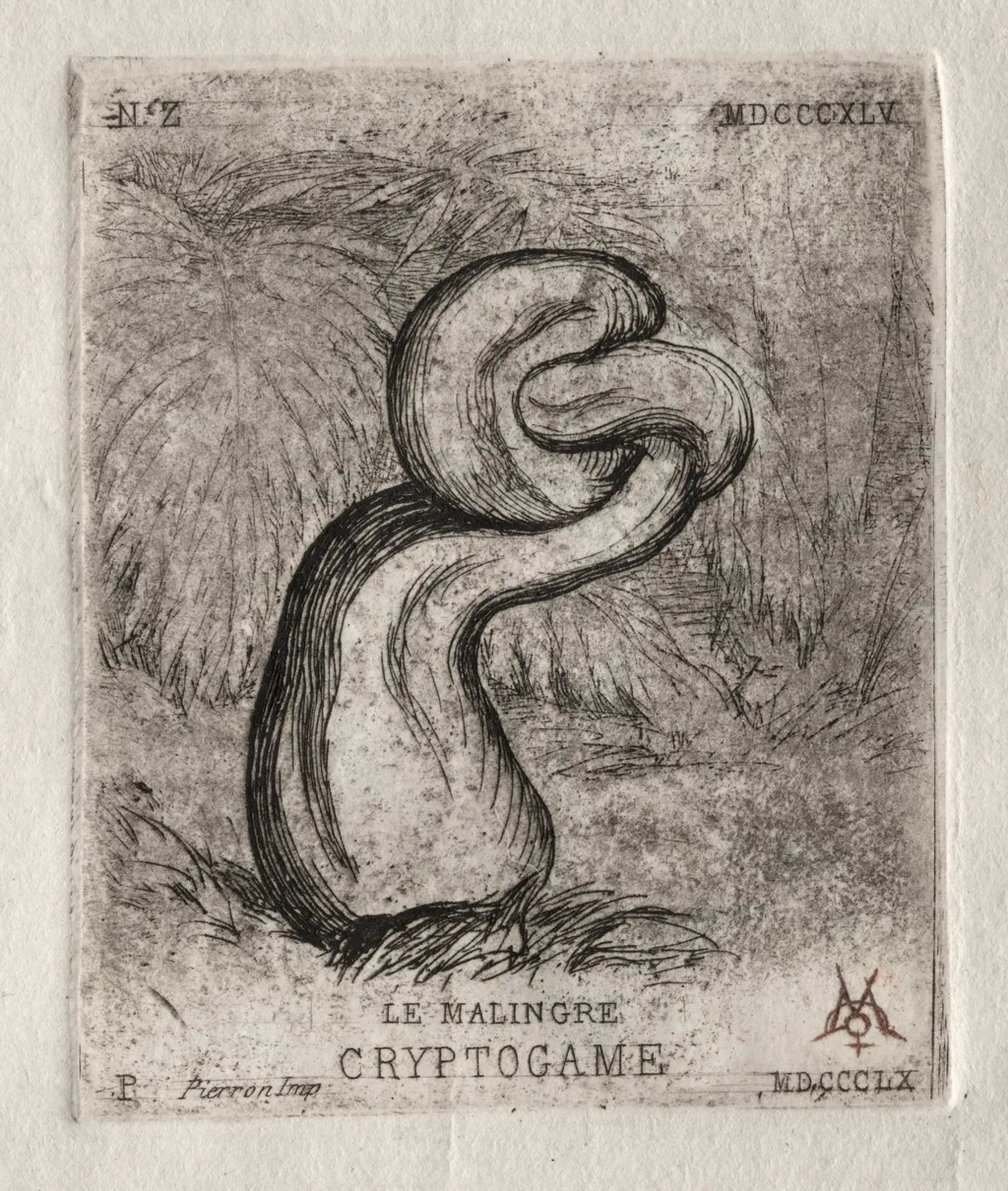 The Sickly Cryptogam, by Charles Meryon, 1860