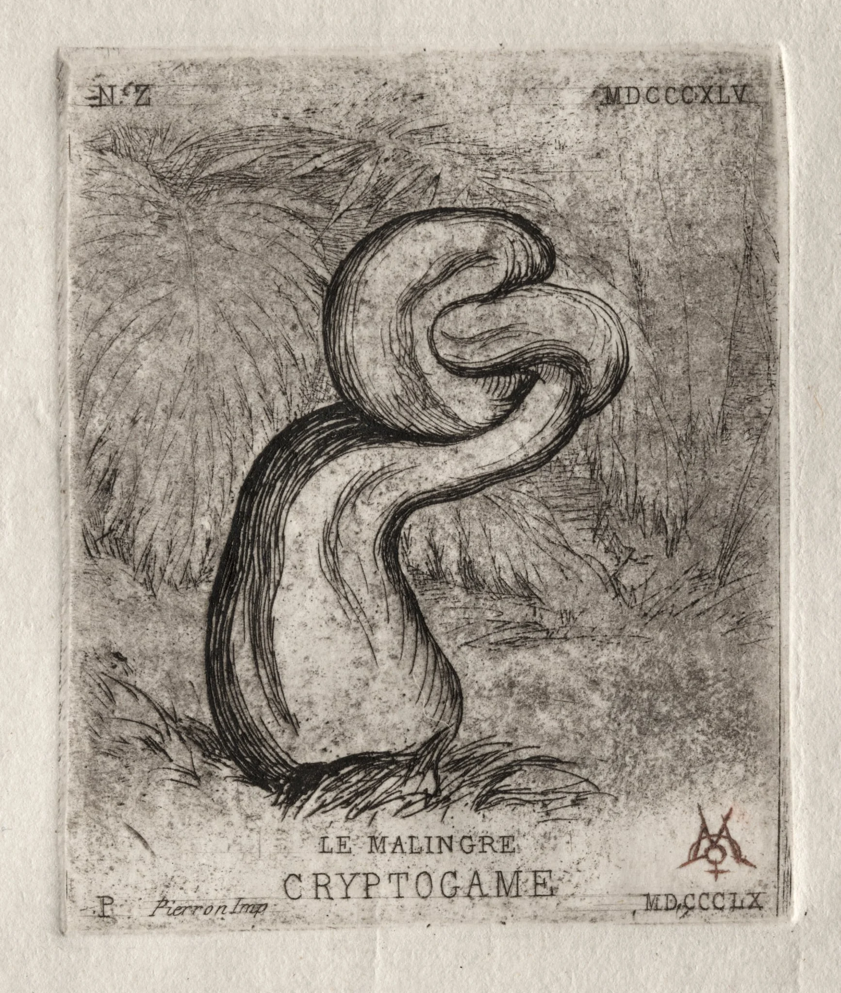 The Sickly Cryptogam, detail