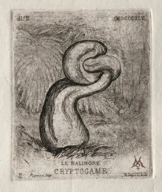 The Sickly Cryptogam, by Charles Meryon, 1860