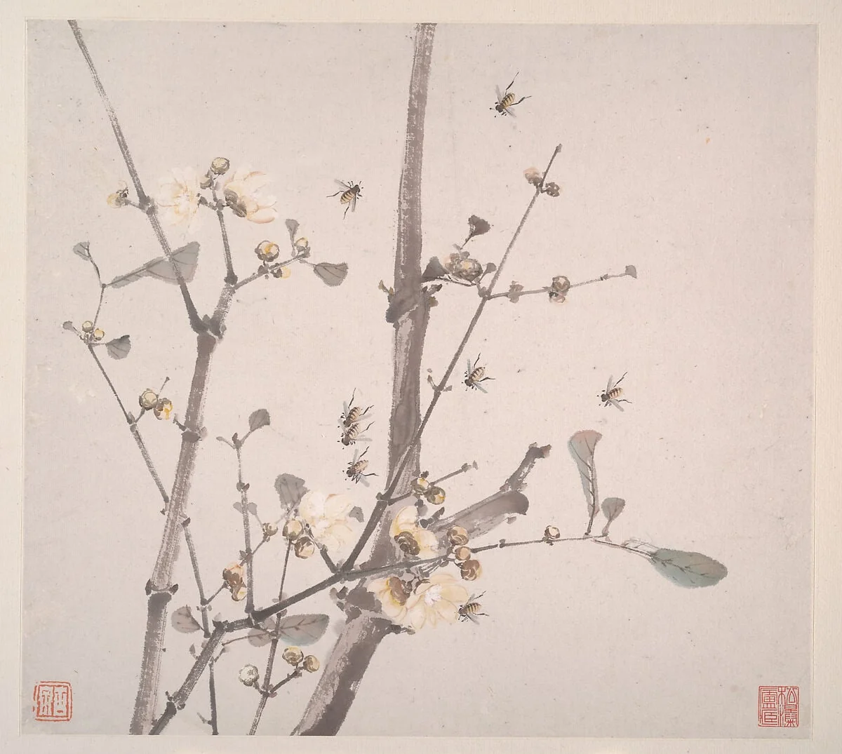 清 居廉 花卉蟲草 冊頁 八開|Insects and Flowers, detail