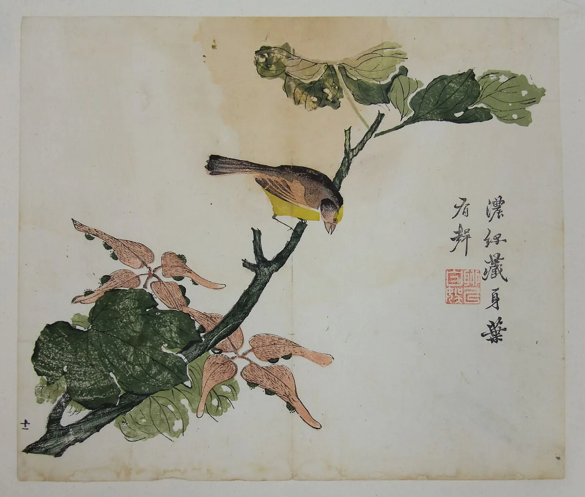 芥子園畫傳|Seeds and Aleurities Cordata (?): Page from The Mustard Seed Garden Manual of Painting (Jieziyuan huazhuan), detail