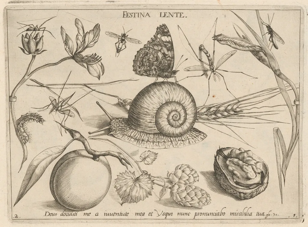 Archetypa studiaque patris Georgii Hoefnagelii [Part 1, Plate 2], by Jacob Hoefnagel, ink, 1592