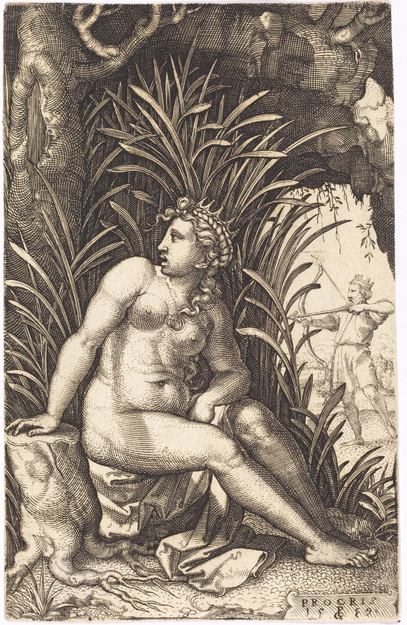 Procris, detail