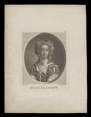 H Beard Print Collection, by Ipsa, 1750