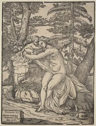 Venus and Cupid, by Nicolò Boldrini, ink, 1566