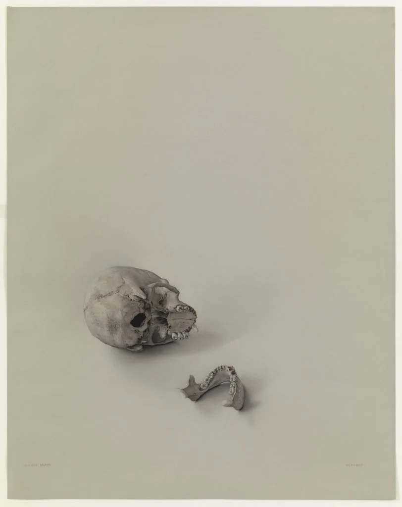 Untitled, detail
