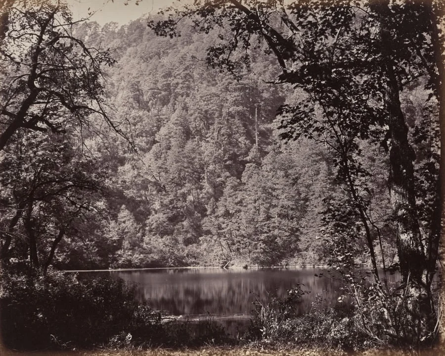The Upper Himmalayahs. The Dodee Tal in Lake, detail