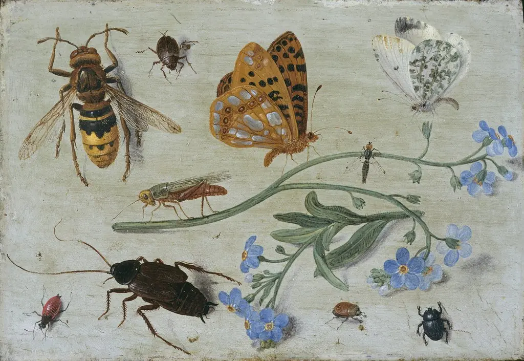 Insects, by Jan van Kessel the Elder, oil, 1662