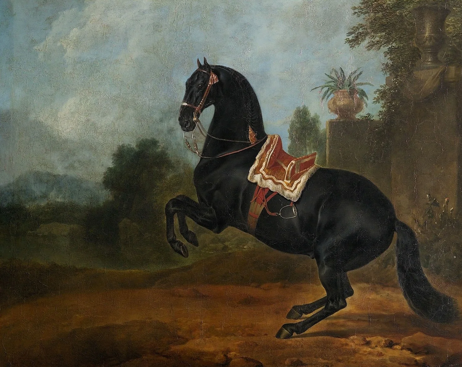 Rappe in der Levade, detail