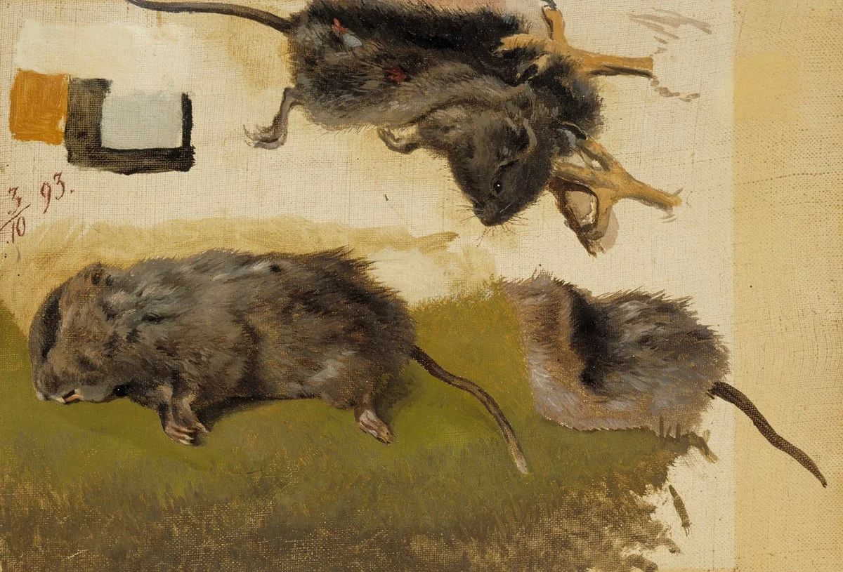 Jyrsijöitä, detail